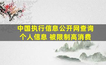 中国执行信息公开网查询个人信息 被限制高消费